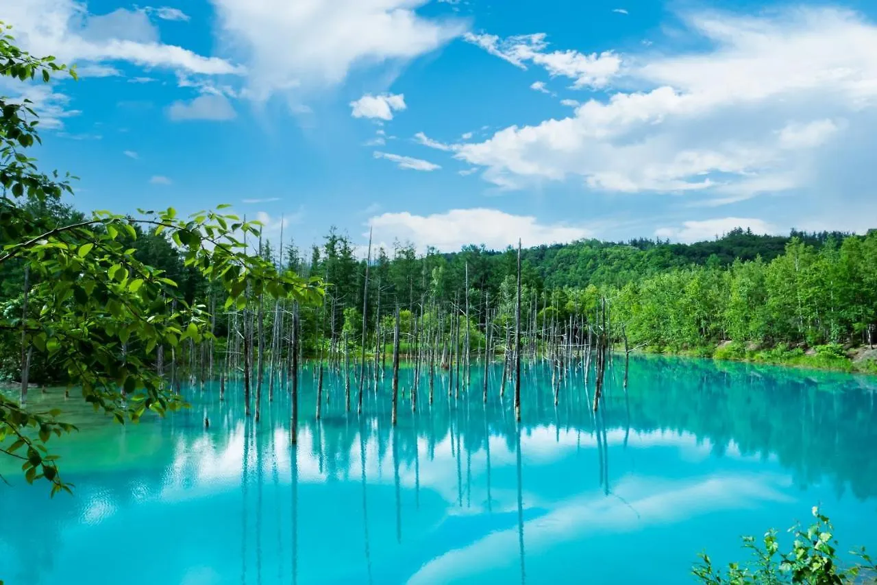 Hotel Edel Warme Furano