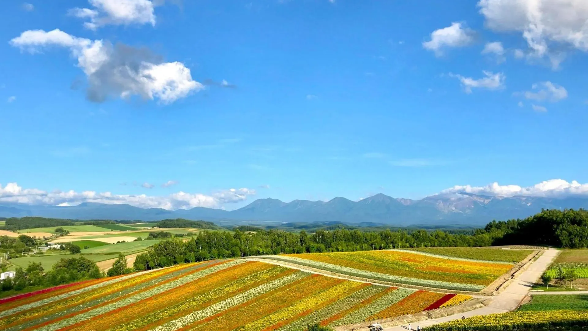Hotel Edel Warme Furano